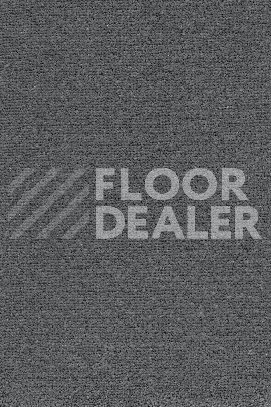 Ковролин AW Masquerade Mezza 79 фото 1 | FLOORDEALER